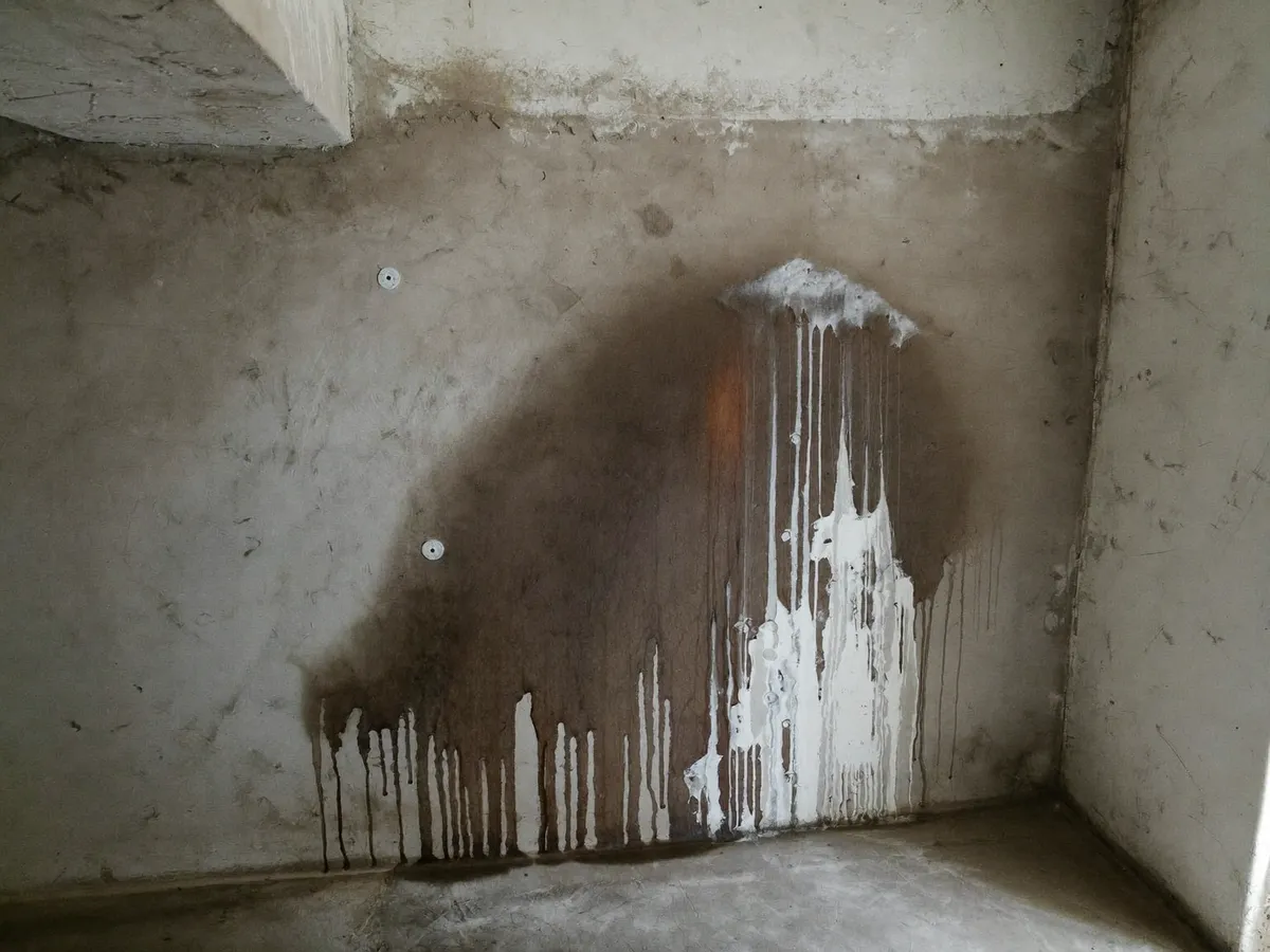 Damp basement wall with moisture patches and salt efflorescence