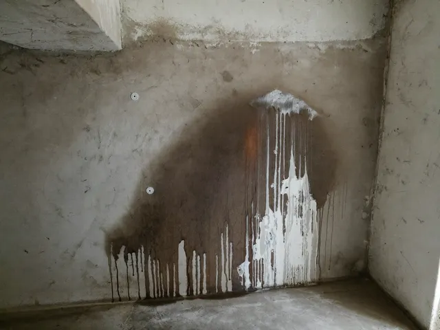 Damp basement wall with moisture and salt stains